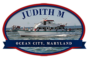 Judith M Fishing Logo