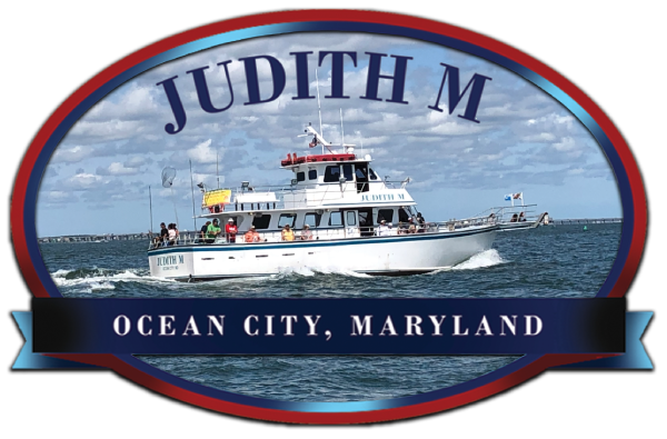 Judith M Fishing Logo